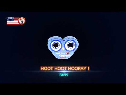 HOOT HOOT HOORAY FOUNTAIN